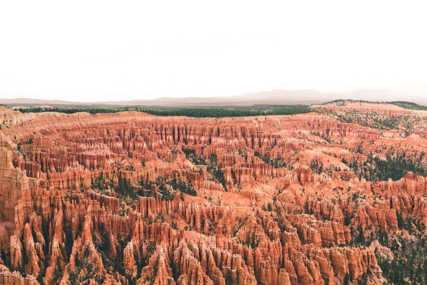 The amazing hoodoos in Bryce Canyon 