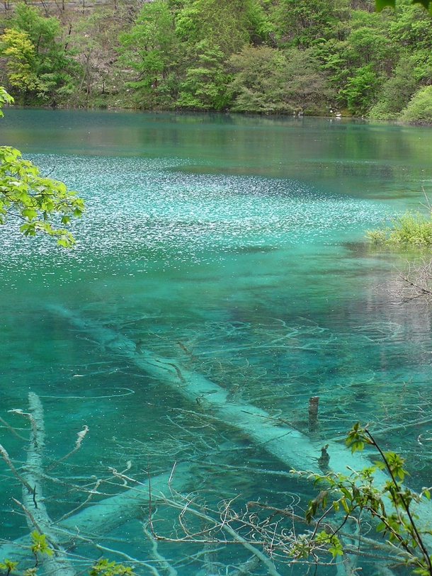 The amazing transparent AND colorful water of Jiu Zai Gou Sichuan-China  Gallery in comment