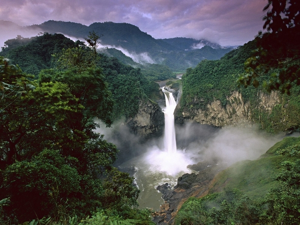 The Amazon Rainforest Venezuela 