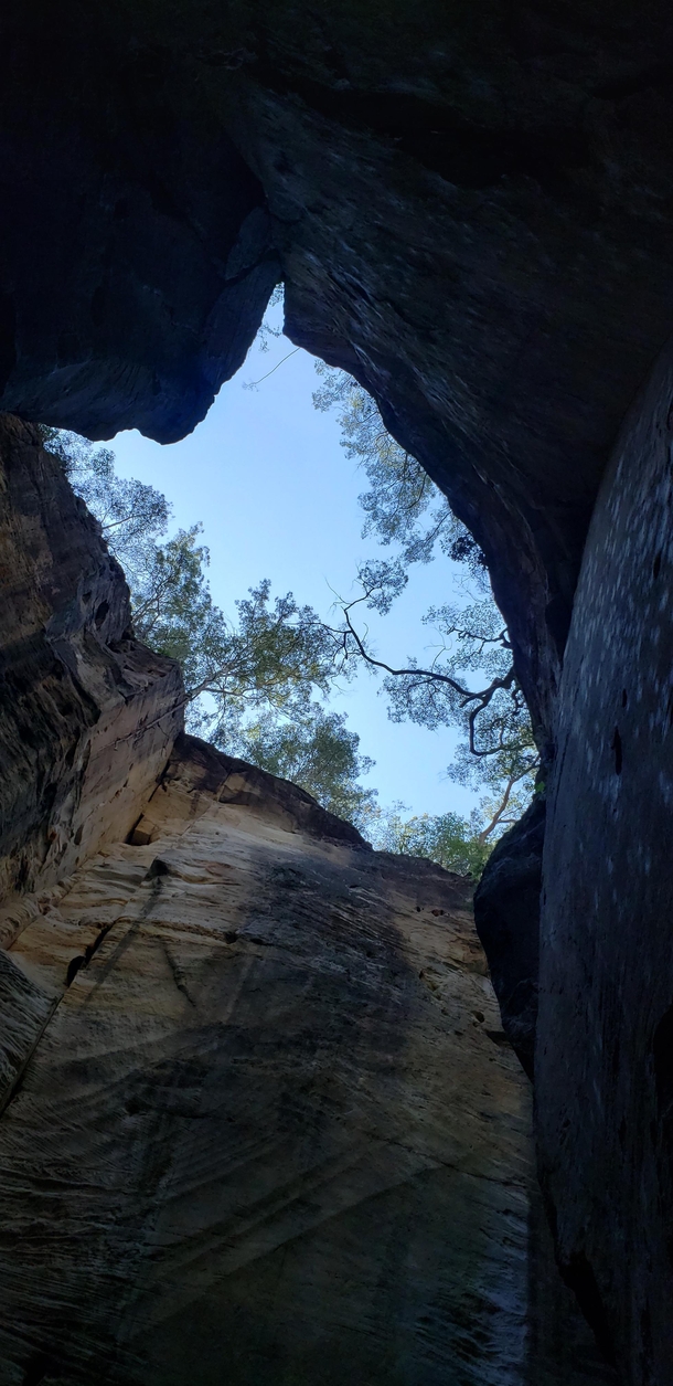 The Amphitheater an open-topped cavern in Carnarvon Gorge Queensland 