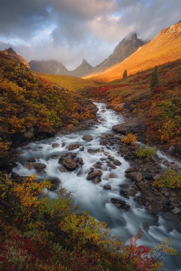 The arctic of northern Alaska offers one of the best fall color displays anywhere on Earth The diversity of color is incredible - greens yellows oranges and reds The mountains arent too bad to look at either Gates of the Arctic NP Alaska  mattymeis