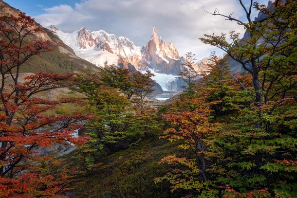 The arrival of fall Cerro Torre Patagonia OC x ig williampatino_photography