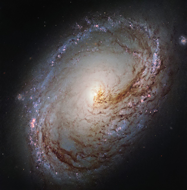 The asymmetrical core and inner spiral arm of Messier  bursting with star formation and dark dust lanes in the constellation Leo  million light-years away  image credit NASAESA Hubble