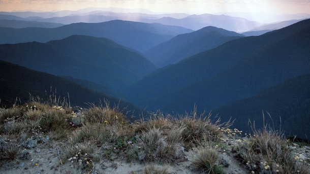 The Australian Alps Photo by tourism Aus  x-post rAustraliaPics