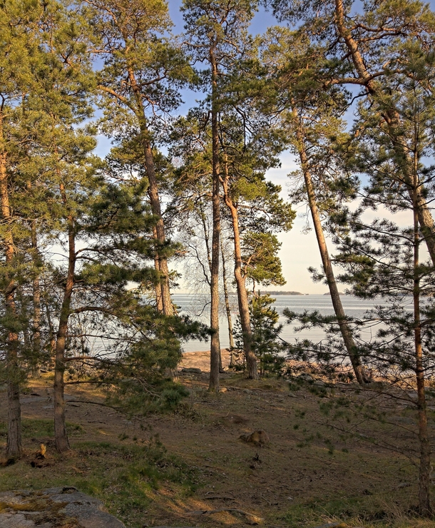 The Baltic Sea Coast in Espoo The Greater-Helsinki region Finland 