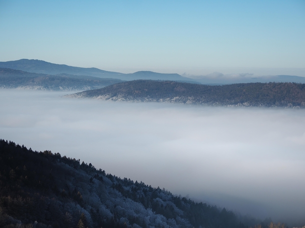The Bavarian Forest - like floating islands above the clouds 