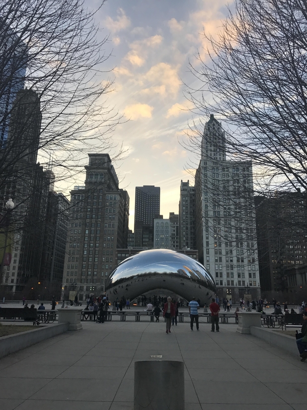 The Bean in Chicago x