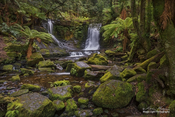 The beautiful Horseshoe Falls in Mt Field National Park in Tasmania Australia 