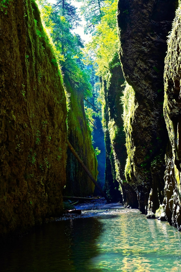 The beautiful Oneonta Gorge Oregon 