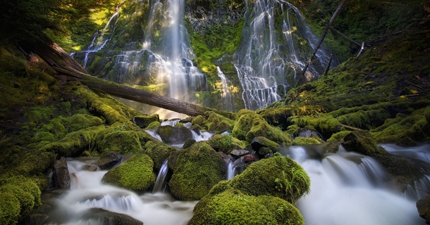 The beautiful Proxy Falls of Central Oregon 