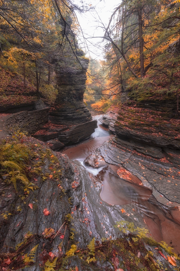 The beautiful rock formations of Buttermilk Falls New York 