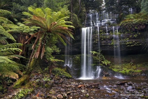 The beautiful Russell Falls in the Mt Field National Park in Tasmania Australia 