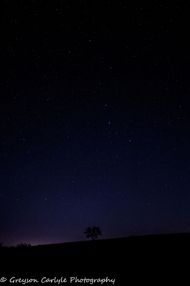 The Big Dipper above a lone tree on a Texas hilltop