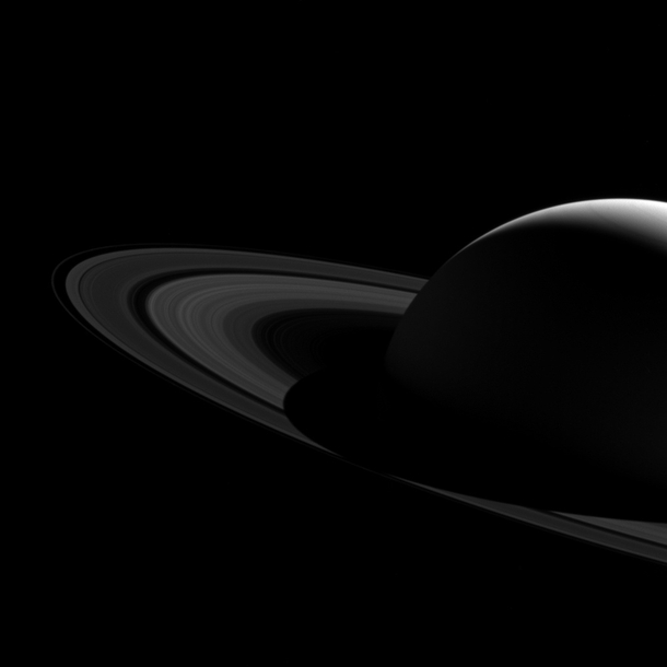 The Bisected Rings of Saturn