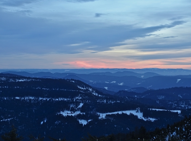 The Blackforest with the Alps at the horizon  Germany  