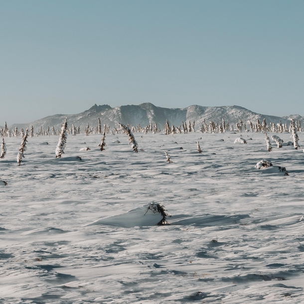 The calmness of the frozen Arctic 