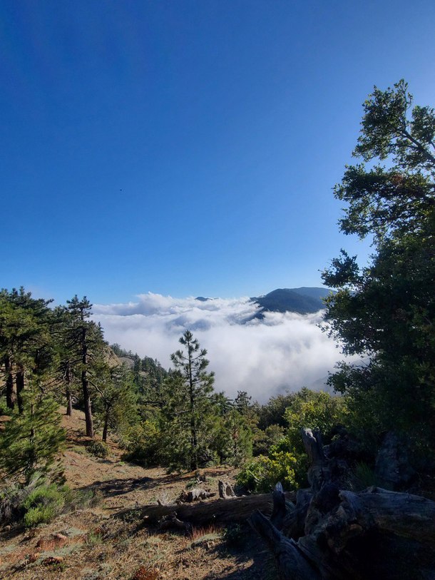 The clouds in the Angeles National Forest were too stunning all weekend Islip Saddle section of the PCT CA 
