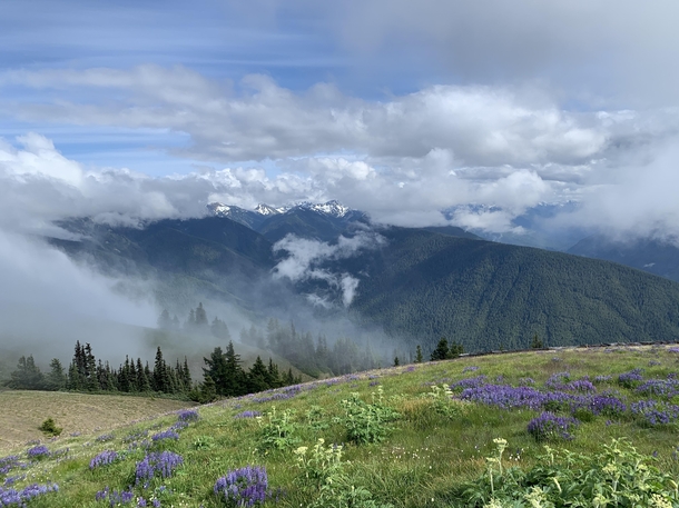The Clouds Rolling In - Olympic National Park Washington State 