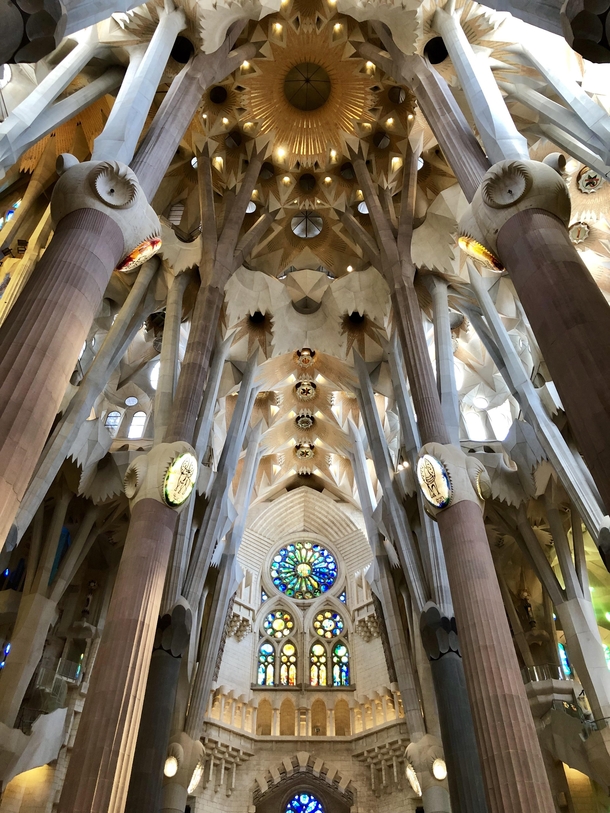 The columns in Gaudis Sagrada Familia in Barcelona yesterday OC 