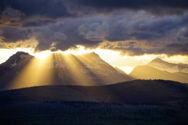 The coolest thing anyone with a camera in their hands could hope for Glacier National Park 