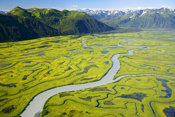 The Copper River Delta Alaska - 