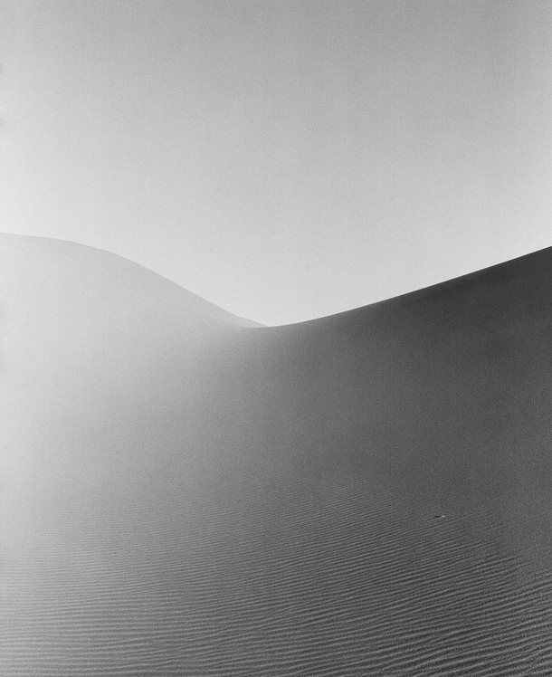The Curves of Mother Nature Oceano Dunes CA x film x