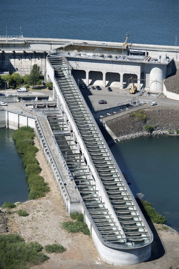 The Dalles Dam East Fish Ladder 