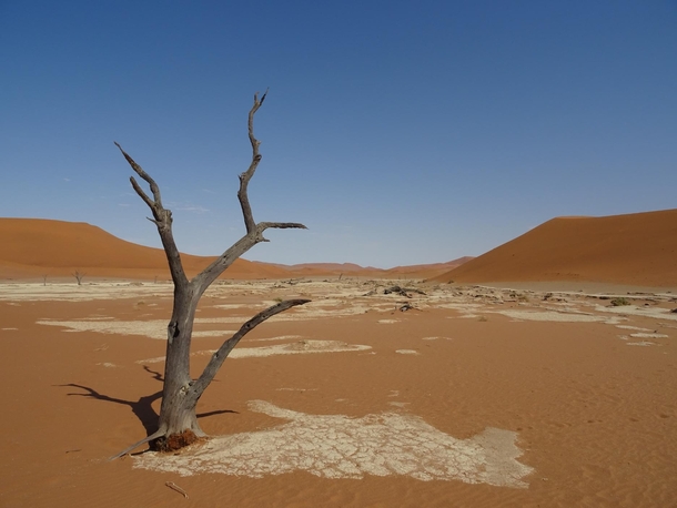 The Deadvlei in Nambia 