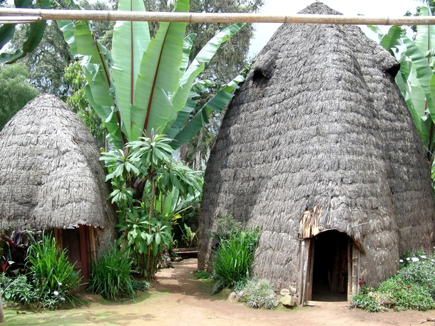 The Dorza tribe in Ethiopia construct their huts m high termites eat away at the bottom and the huts shrink over time- the door is continuously made taller and when huts get too small they are used as storage rooms 