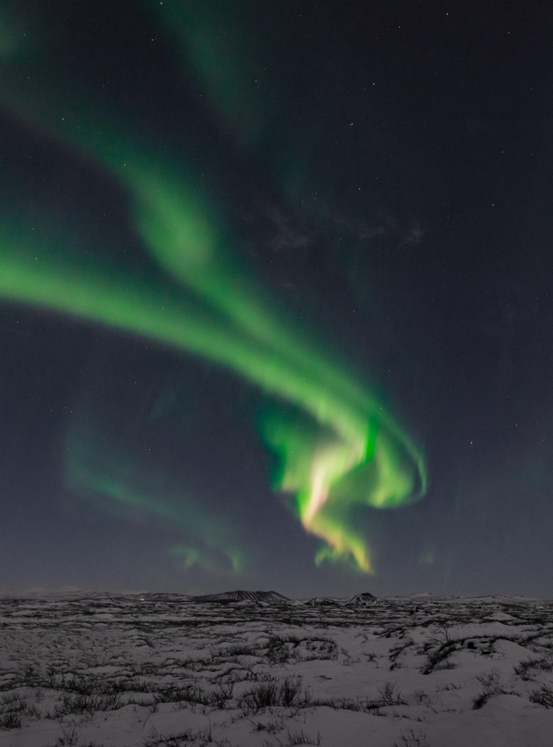 The Dragon  - Northern Lights - North East Iceland March  
