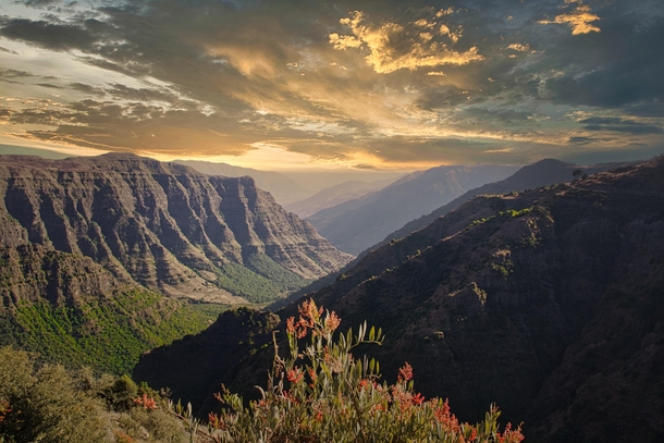 The endless view from Sankabar campsite SimienMountains Ethiopia 