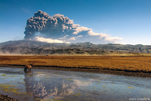 The eruption of Eyjafjallajkull seen over a beautiful Icelandic landscape  photo by Frijfur M