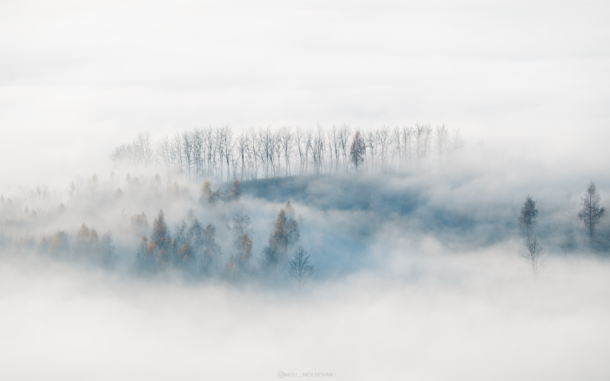 The eye of the mist Transylvania Romania  IG nicu__moldovan