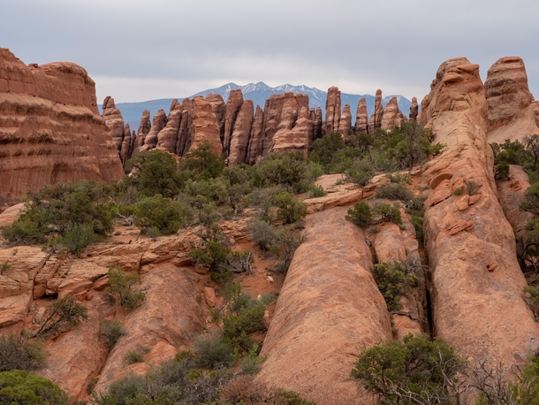 The fins at Arches National Park with the La Sal Mountains in the background 