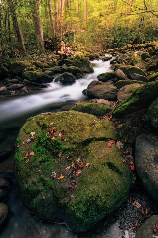 The first autumn breath at Greenbrier Cove - Great Smoky Mountains National Park 