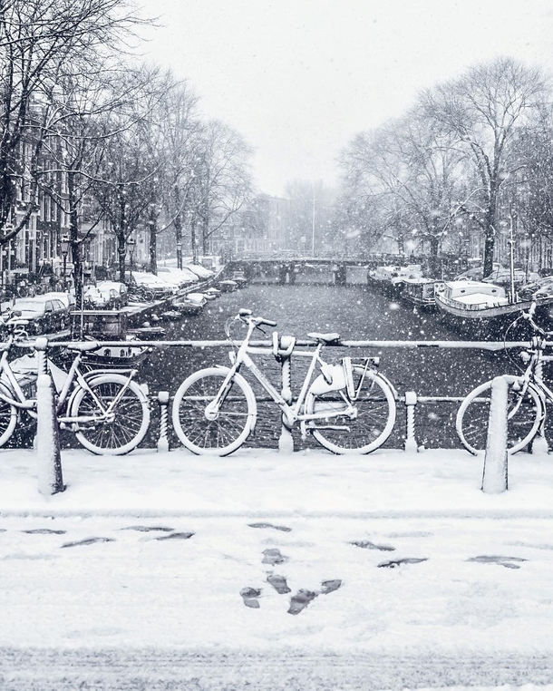 The first day of snow in Amsterdam  photo by gabrielguita