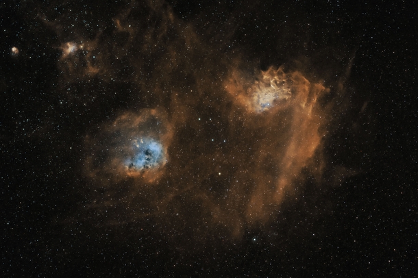 The Flaming Star and Tadpoles Nebulae from my backyard 