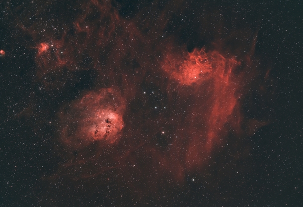 The Flaming Star IC  and the Tadpoles IC  Nebulae in Auriga