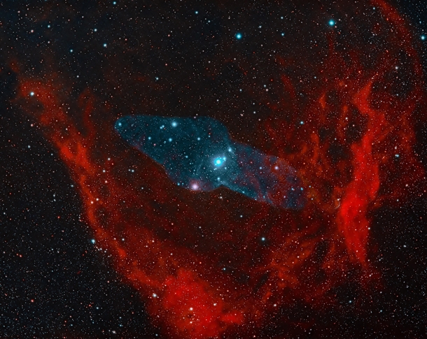 The Flying Bat amp Squid Nebula - SH- amp Ou - OC