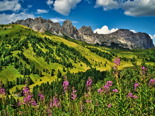 The Gardena Pass in the Dolomites Italy 