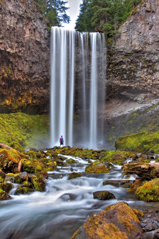 The Giants Around us Tamanawas Falls Oregon - by Michael_Goesoutside 