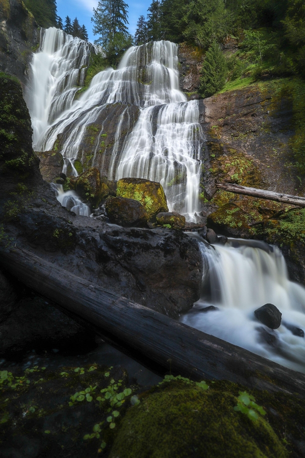 The Gifford Pinchot National Forest is a special place Washington State 