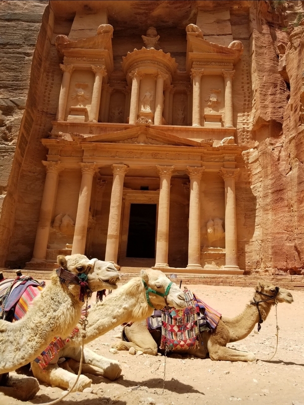 The Gorgeous Petra Jordan  