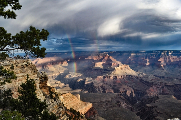 The Grand Canyon Arizona   x 