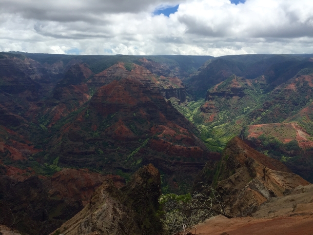 The Grand Canyon of the Pacific Kauai Hawaii 