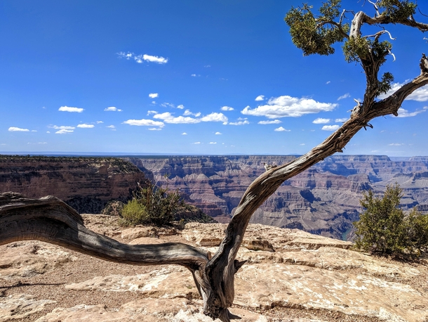The Grand Canyon South Rim 
