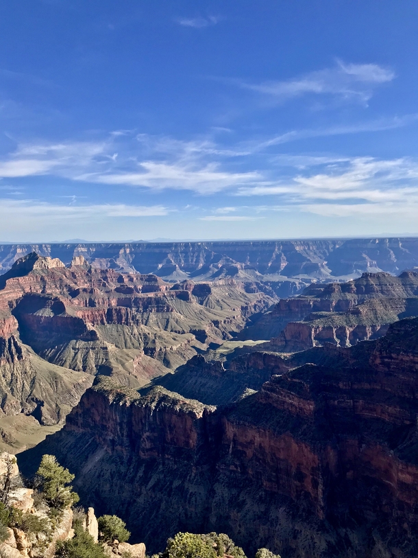 The Grand Canyon South rim OC x