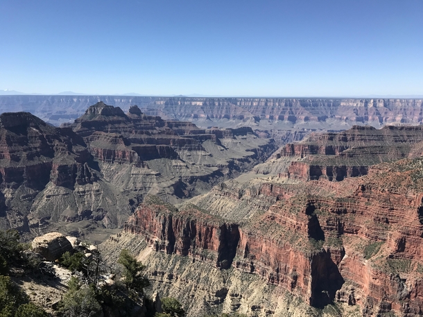 The Grand Canyons North Rim 