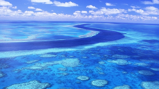 The Great Barrier Reef Australia  x-post rAustraliapics