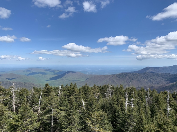 The Great Smoky Mountains from the top of Clingmans Dome on a rare clear day OC x